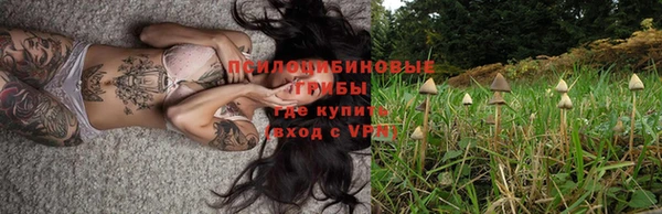 бошки Богданович
