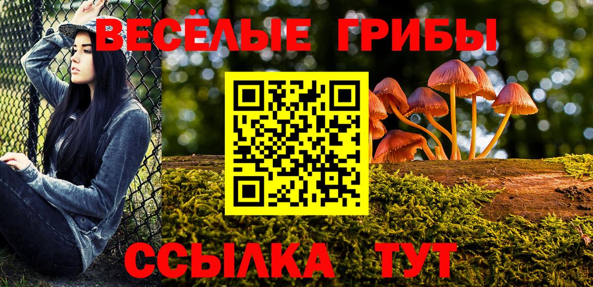 Псилоцибиновые грибы мухоморы Воркута